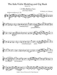 A single-page sheet music cover for 'The Solo Violin Wedding and Gig Book, Volume One' featuring the aria 'O Mio Babbino Caro' by Giuseppe Verdi, arranged by M. Harvey and published by C.