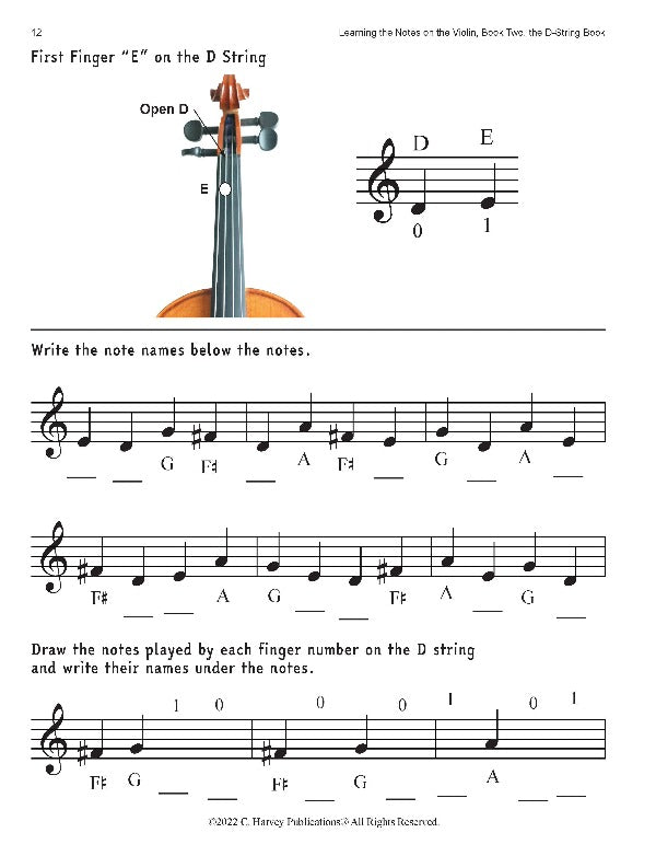 Musical Notes D String Violin D String Notes