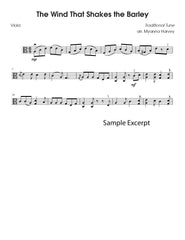 Solo viola fiddle tune sample page